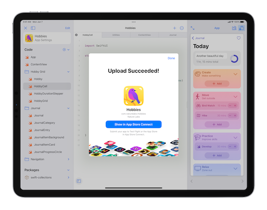 iPad Pro SwiftUI Submit to Store screen